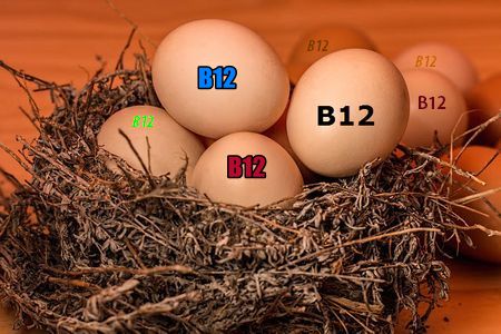 vegatarian foods with vitamin B12  - eggs and B12